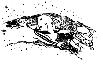 Иллюстрация к книге — Курт, quo vadis? [image32.png]