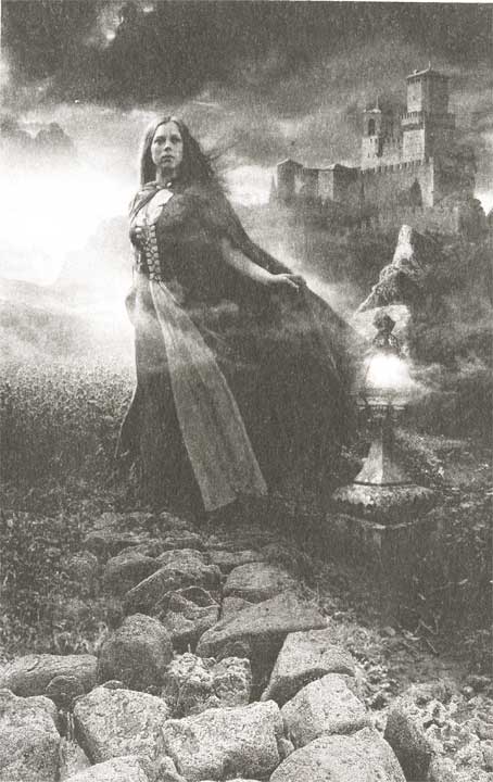 Иллюстрация к книге — Химеры чужих желаний [i_001.jpg]