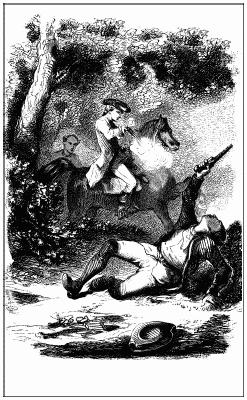 Иллюстрация к книге — Графиня Рудольштадт [i_007.jpg]