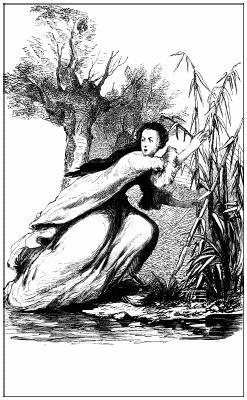 Иллюстрация к книге — Графиня Рудольштадт [i_025.jpg]