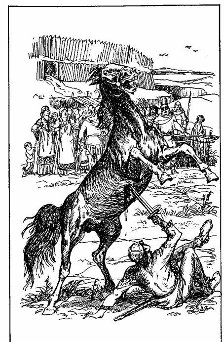 Иллюстрация к книге — Сага о Вигдис и Вига-Льоте [any2fbimgloader0.jpeg]