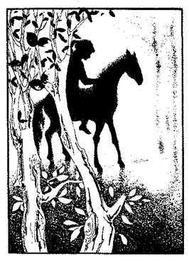 Иллюстрация к книге — Таинственный доктор [any2fbimgloader6.jpeg]