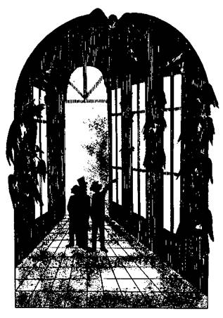 Иллюстрация к книге — Женитьбы папаши Олифуса [any2fbimgloader0.jpeg]