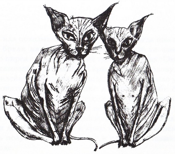 Иллюстрация к книге — Ближе [pic07.jpg]