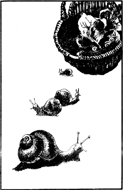 Иллюстрация к книге — Капитан Памфил [_1.png]