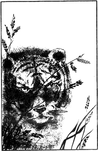 Иллюстрация к книге — Капитан Памфил [_3.png]