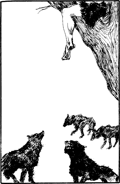 Иллюстрация к книге — Капитан Памфил [_7.png]