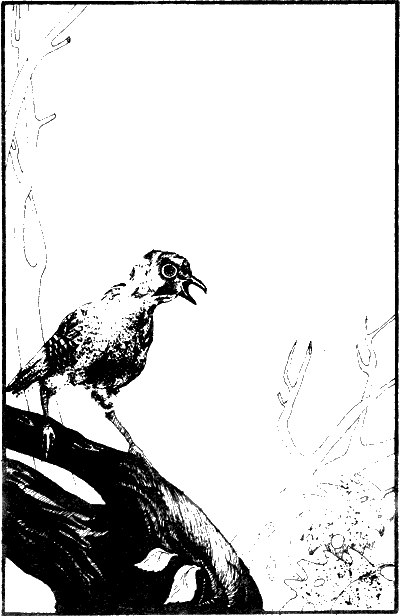 Иллюстрация к книге — История моих животных [Untitled1.png]