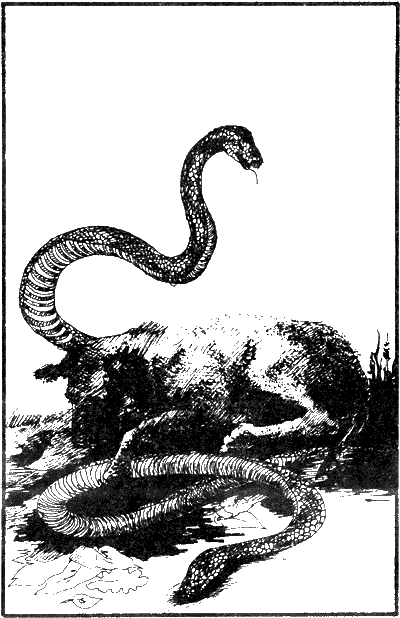 Иллюстрация к книге — История моих животных [Untitled15.png]