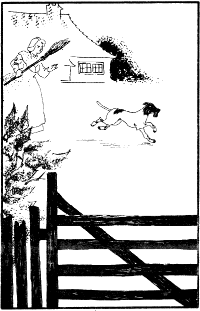 Иллюстрация к книге — История моих животных [Untitled2.png]