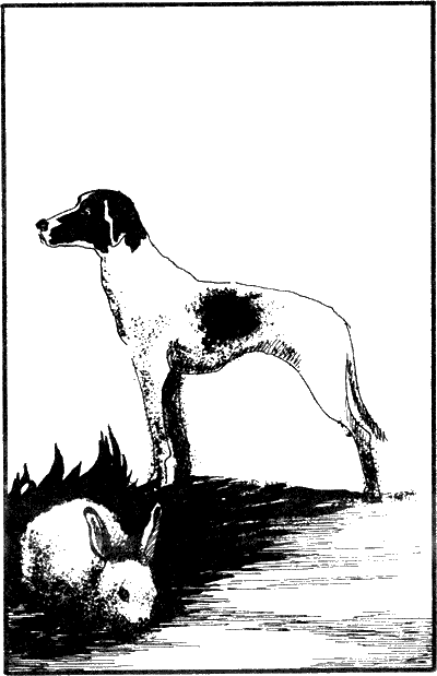 Иллюстрация к книге — История моих животных [Untitled9.png]