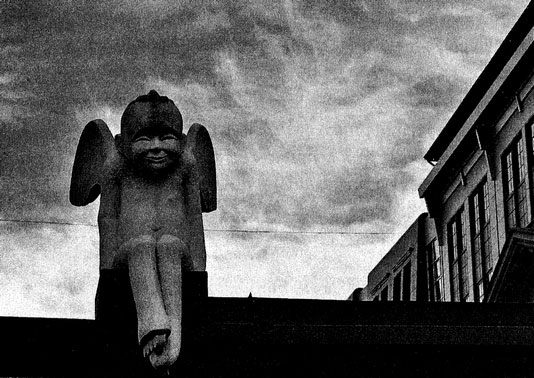 Иллюстрация к книге — Сказки старого Вильнюса II [i_011.jpg]