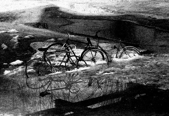 Иллюстрация к книге — Сказки старого Вильнюса II [i_015.jpg]