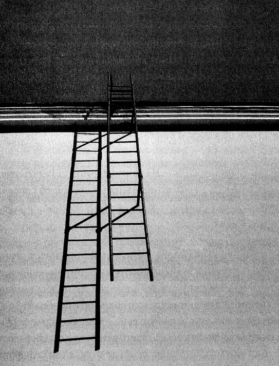 Иллюстрация к книге — Сказки старого Вильнюса II [i_016.jpg]