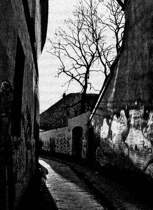 Иллюстрация к книге — Сказки старого Вильнюса II [i_027.jpg]