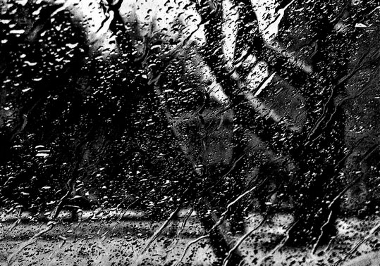 Иллюстрация к книге — Сказки старого Вильнюса II [i_032.jpg]