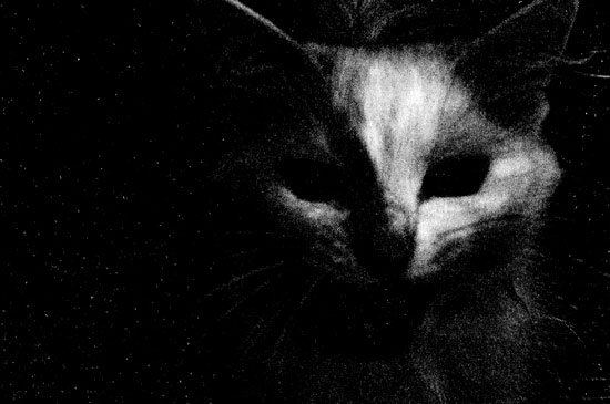 Иллюстрация к книге — Сказки старого Вильнюса II [i_035.jpg]