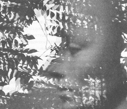 Иллюстрация к книге — Сказки старого Вильнюса [i_010.jpg]