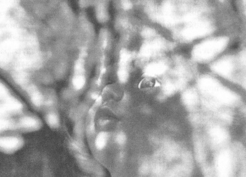 Иллюстрация к книге — Сказки старого Вильнюса [i_030.jpg]