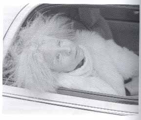 Иллюстрация к книге — Полая женщина. Мир Барби изнутри и снаружи [image022.jpg]