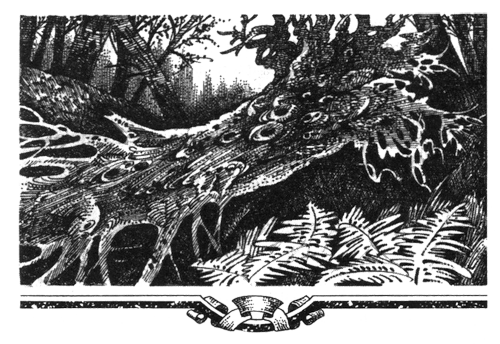 Иллюстрация к книге — Голоса в ночи [i_005.png]