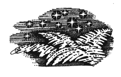 Иллюстрация к книге — Голоса в ночи [i_008.png]