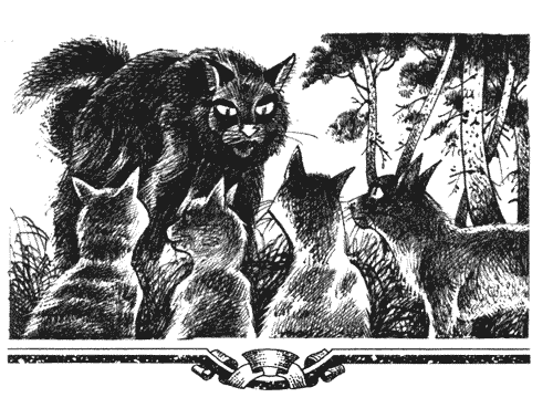 Иллюстрация к книге — Голоса в ночи [i_012.png]