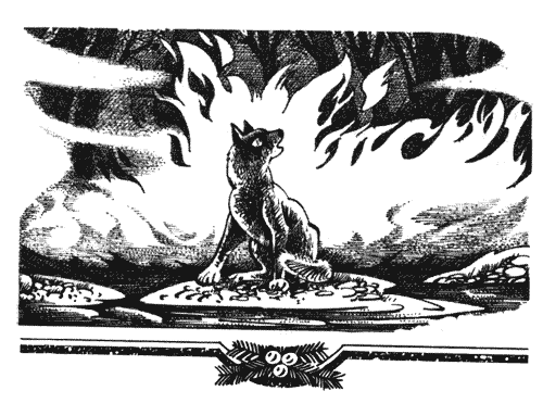 Иллюстрация к книге — Голоса в ночи [i_014.png]