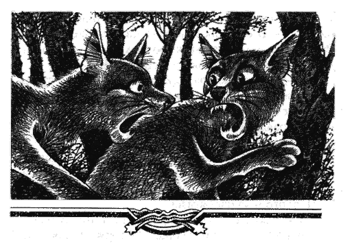 Иллюстрация к книге — Голоса в ночи [i_025.png]