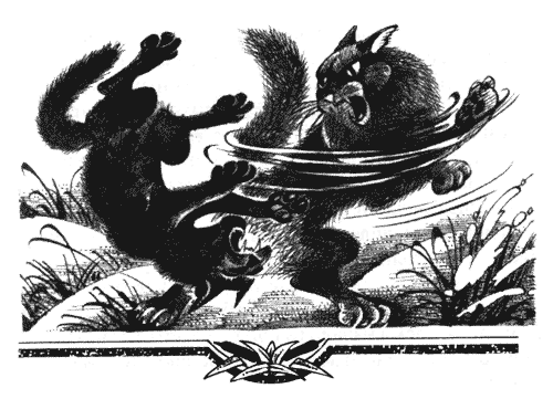 Иллюстрация к книге — Голоса в ночи [i_029.png]