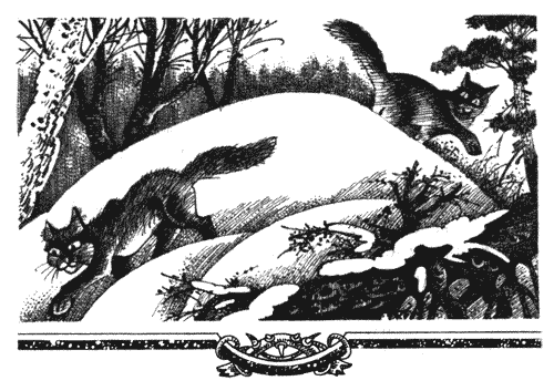 Иллюстрация к книге — Голоса в ночи [i_030.png]