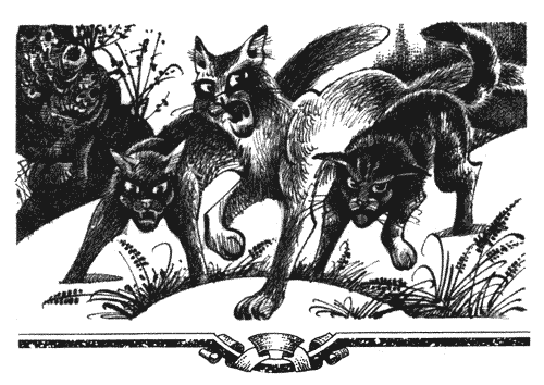 Иллюстрация к книге — Голоса в ночи [i_031.png]