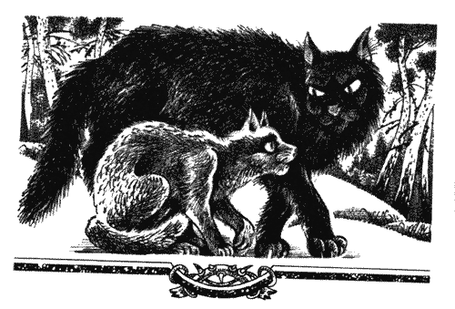 Иллюстрация к книге — Голоса в ночи [i_032.png]