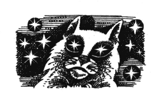 Иллюстрация к книге — Голоса в ночи [i_036.png]