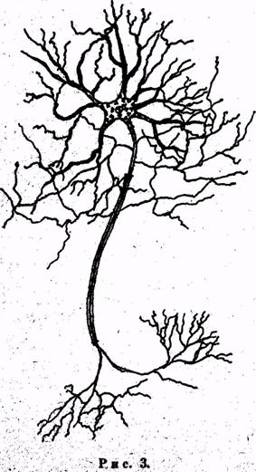 Иллюстрация к книге — Психология. Учебник для учащихся педагогических училищ [image004.jpg]