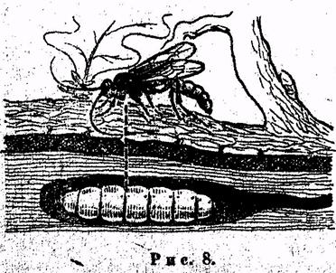 Иллюстрация к книге — Психология. Учебник для учащихся педагогических училищ [image009.jpg]