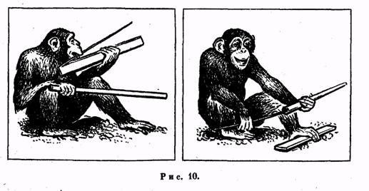 Иллюстрация к книге — Психология. Учебник для учащихся педагогических училищ [image011.jpg]