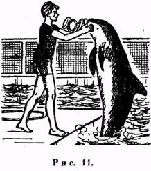 Иллюстрация к книге — Психология. Учебник для учащихся педагогических училищ [image012.jpg]