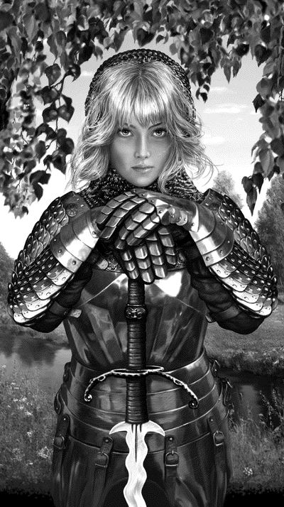 Иллюстрация к книге — Невеста войны. Против «псов-рыцарей» [_001.jpg]