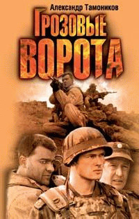 Книга Грозовые ворота