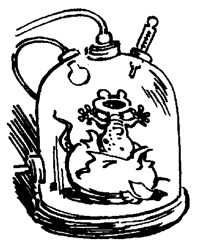 Иллюстрация к книге — Девочка, с которой ничего не случится [i_004.png]