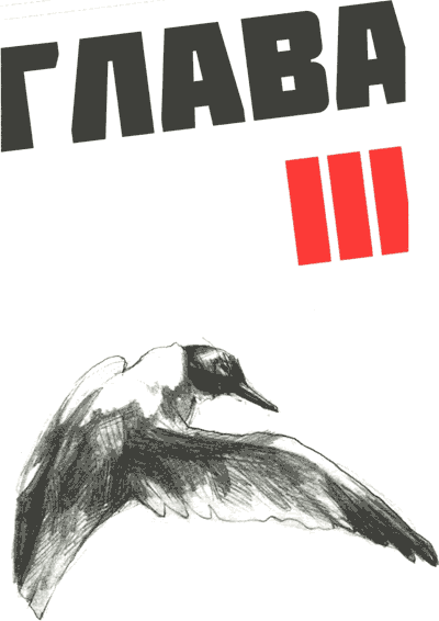 Иллюстрация к книге — Мето. Остров [i_003.png]