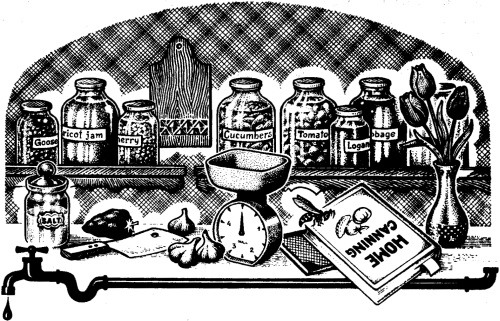 Иллюстрация к книге — Мисс Прайс и волшебные каникулы [pic22.jpg]