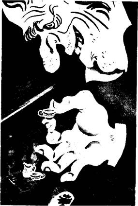 Иллюстрация к книге — Добывайки [i_017.jpg]