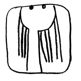 Иллюстрация к книге — Типа смотри короче [i_060.png]