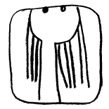 Иллюстрация к книге — Типа смотри короче [i_070.png]