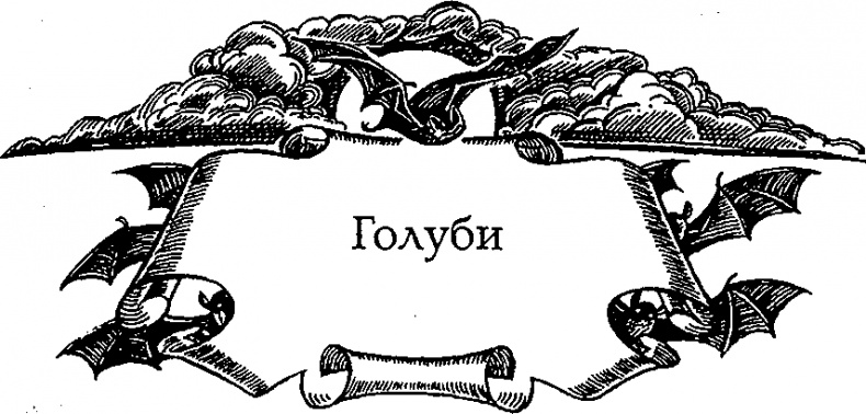 Иллюстрация к книге — Серебряное крыло [i_008.png]