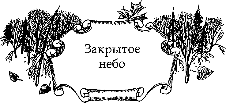 Иллюстрация к книге — Серебряное крыло [i_011.png]