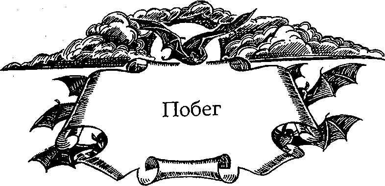 Иллюстрация к книге — Серебряное крыло [i_012.png]