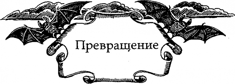 Иллюстрация к книге — Серебряное крыло [i_013.png]